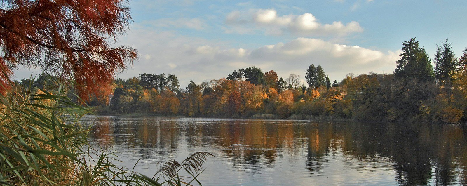 Etang de Fallavier, près de Villefontaine