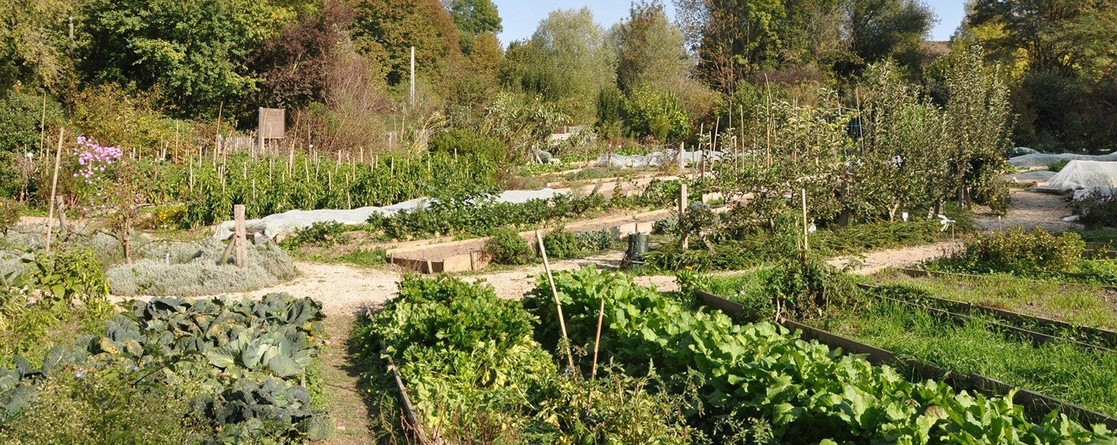 Jardin collectif de Vaugelas, Villefontaine