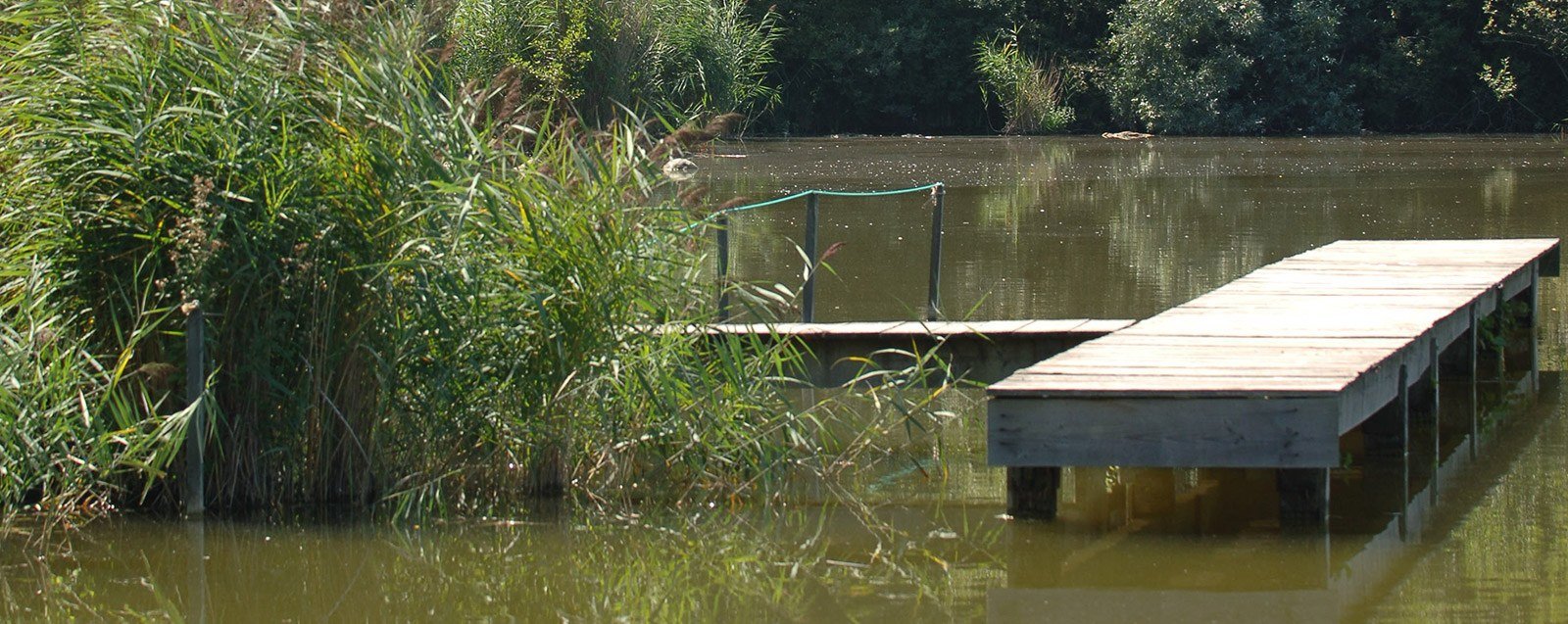 Etang de Vaugelas, lieu de pêche à Villefontaine