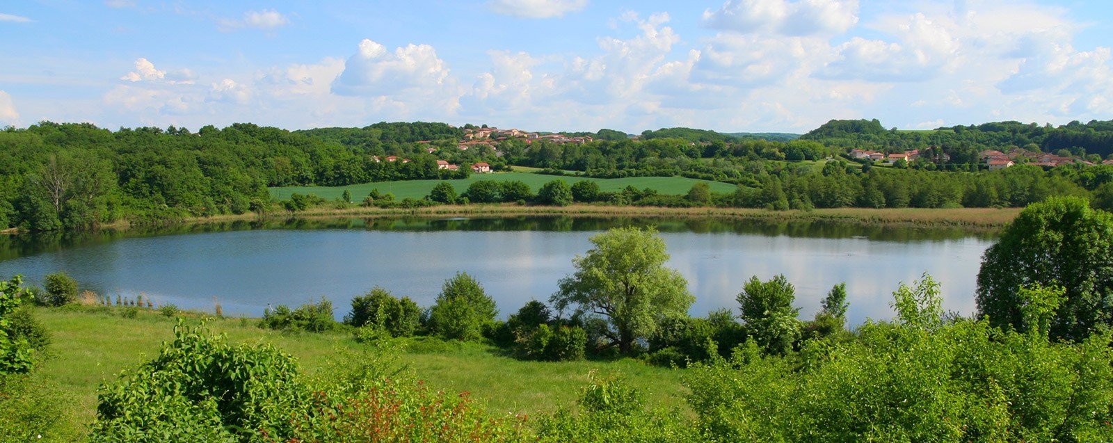 Réserve naturelle de Saint Bonnet, Villefontaine