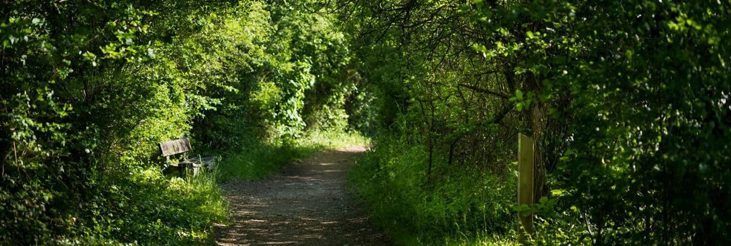 Réserve naturelle régionale de l'étang de Saint-Bonnet