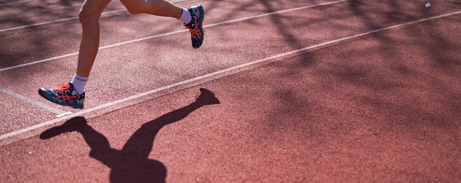 © Benoit Gillardeau