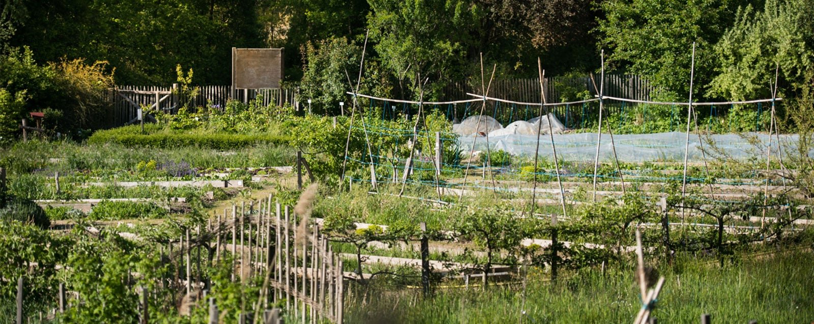 Jardin collectif de Vaugelas, Villefontaine